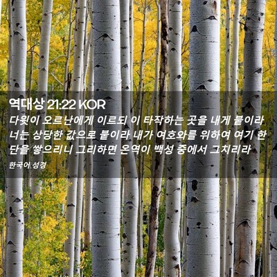 Picture 02 - 역대상 21:22 KOR - 다윗이 오르난에게 이르되 이 - Bible Verse Picture