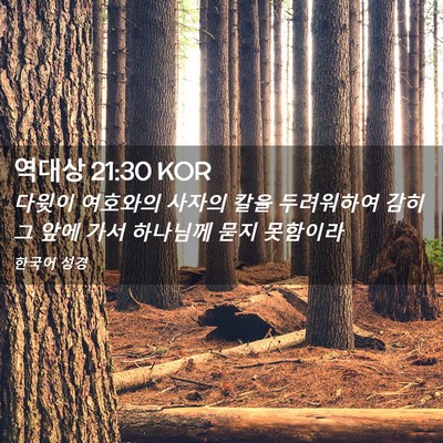 Picture 02 - 역대상 21:30 KOR - 다윗이 여호와의 사자의 칼을 - Bible Verse Picture