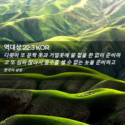 Picture 02 - 역대상 22:3 KOR - 다윗이 또 문짝 못과 거멀못에 쓸 - Bible Verse Picture