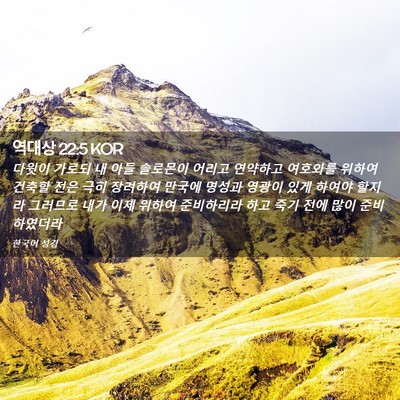 Picture 02 - 역대상 22:5 KOR - 다윗이 가로되 내 아들 솔로몬이 - Bible Verse Picture