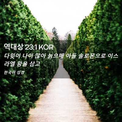 Picture 02 - 역대상 23:1 KOR - 다윗이 나이 많아 늙으매 아들 - Bible Verse Picture