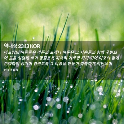 Picture 02 - 역대상 23:13 KOR - 아므람의 아들들은 아론과 모세니 - Bible Verse Picture
