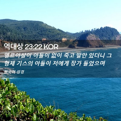 Picture 02 - 역대상 23:22 KOR - 엘르아살이 아들이 없이 죽고 딸만 - Bible Verse Picture