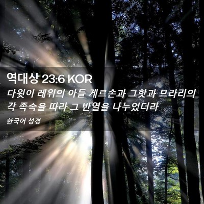 Picture 02 - 역대상 23:6 KOR - 다윗이 레위의 아들 게르손과 그핫과 - Bible Verse Picture