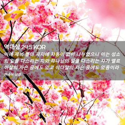Picture 02 - 역대상 24:5 KOR - 이에 제비 뽑아 피차에 차등이 없이 - Bible Verse Picture