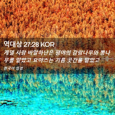 Picture 02 - 역대상 27:28 KOR - 게델 사람 바알하난은 평야의 - Bible Verse Picture