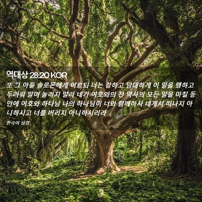Picture 02 - 역대상 28:20 KOR - 또 그 아들 솔로몬에게 이르되 너는 - Bible Verse Picture