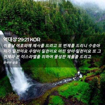 Picture 02 - 역대상 29:21 KOR - 이튿날 여호와께 제사를 드리고 또 - Bible Verse Picture