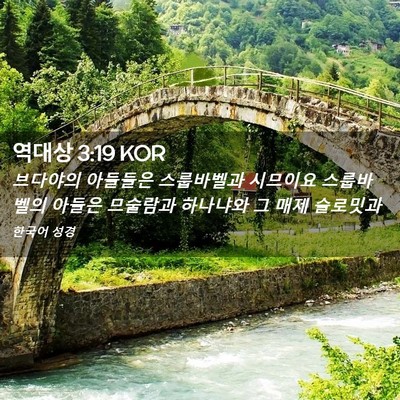 Picture 02 - 역대상 3:19 KOR - 브다야의 아들들은 스룹바벨과 - Bible Verse Picture