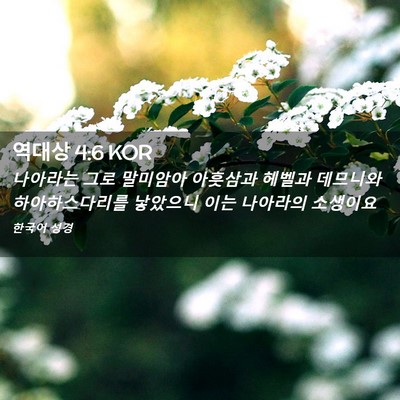 Picture 02 - 역대상 4:6 KOR - 나아라는 그로 말미암아 아훗삼과 - Bible Verse Picture