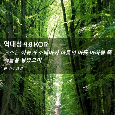 Picture 02 - 역대상 4:8 KOR - 고스는 아눕과 소베바와 하룸의 아들 - Bible Verse Picture