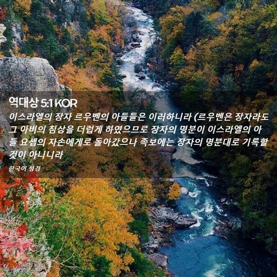 Picture 02 - 역대상 5:1 KOR - 이스라엘의 장자 르우벤의 아들들은 - Bible Verse Picture