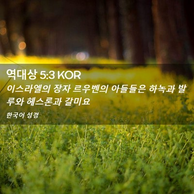 Picture 02 - 역대상 5:3 KOR - 이스라엘의 장자 르우벤의 아들들은 - Bible Verse Picture