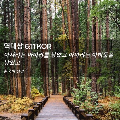 Picture 02 - 역대상 6:11 KOR - 아사랴는 아마랴를 낳았고 아마랴는 - Bible Verse Picture