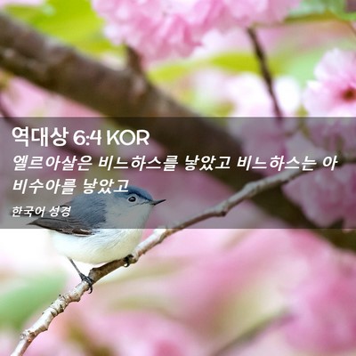 Picture 02 - 역대상 6:4 KOR - 엘르아살은 비느하스를 낳았고 - Bible Verse Picture