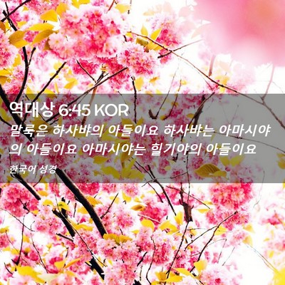 Picture 02 - 역대상 6:45 KOR - 말룩은 하사뱌의 아들이요 하사뱌는 - Bible Verse Picture