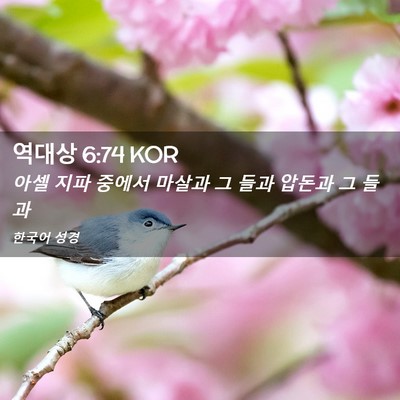 Picture 02 - 역대상 6:74 KOR - 아셀 지파 중에서 마살과 그 들과 - Bible Verse Picture