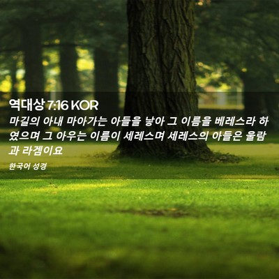 Picture 02 - 역대상 7:16 KOR - 마길의 아내 마아가는 아들을 낳아 - Bible Verse Picture