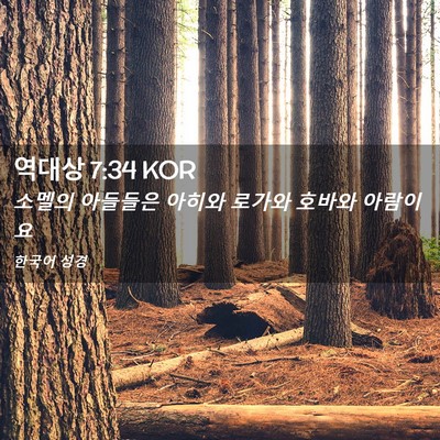 Picture 02 - 역대상 7:34 KOR - 소멜의 아들들은 아히와 로가와 - Bible Verse Picture