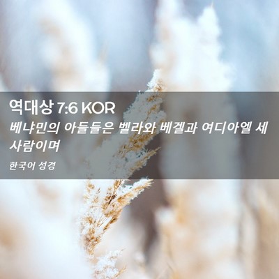 Picture 02 - 역대상 7:6 KOR - 베냐민의 아들들은 벨라와 베겔과 - Bible Verse Picture