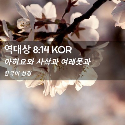 Picture 02 - 역대상 8:14 KOR - 아히요와 사삭과 - Bible Verse Picture