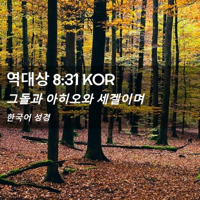 Picture 02 - 역대상 8:31 KOR - 그돌과 아히오와 - Bible Verse Picture