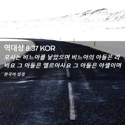 Picture 02 - 역대상 8:37 KOR - 모사는 비느아를 낳았으며 비느아의 - Bible Verse Picture