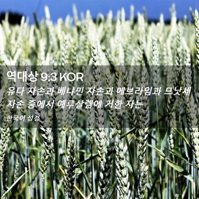 Picture 02 - 역대상 9:3 KOR - 유다 자손과 베냐민 자손과 - Bible Verse Picture