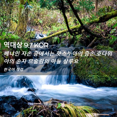Picture 02 - 역대상 9:7 KOR - 베냐민 자손 중에서는 핫스누아의 - Bible Verse Picture