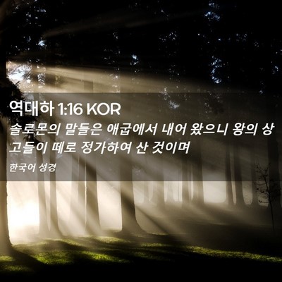Picture 02 - 역대하 1:16 KOR - 솔로몬의 말들은 애굽에서 내어 - Bible Verse Picture
