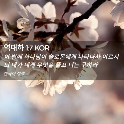 Picture 02 - 역대하 1:7 KOR - 이 밤에 하나님이 솔로몬에게 - Bible Verse Picture