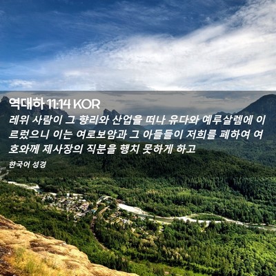 Picture 02 - 역대하 11:14 KOR - 레위 사람이 그 향리와 산업을 떠나 - Bible Verse Picture
