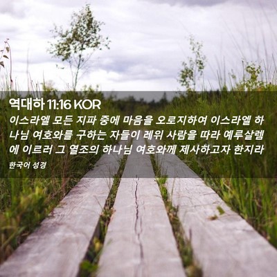 Picture 02 - 역대하 11:16 KOR - 이스라엘 모든 지파 중에 마음을 - Bible Verse Picture