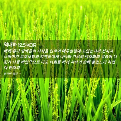 Picture 02 - 역대하 12:5 KOR - 때에 유다 방백들이 시삭을 인하여 - Bible Verse Picture