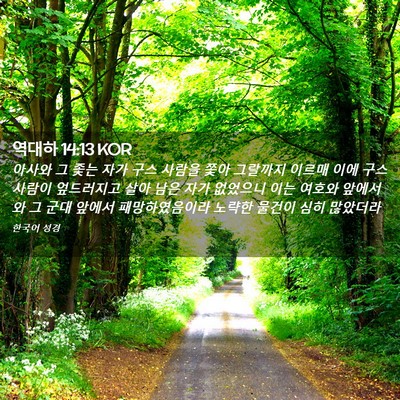 Picture 02 - 역대하 14:13 KOR - 아사와 그 좇는 자가 구스 사람을 - Bible Verse Picture