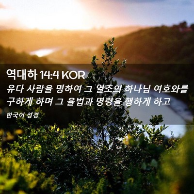 Picture 02 - 역대하 14:4 KOR - 유다 사람을 명하여 그 열조의 - Bible Verse Picture