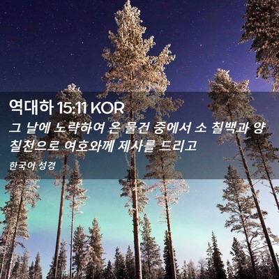 Picture 02 - 역대하 15:11 KOR - 그 날에 노략하여 온 물건 중에서 소 - Bible Verse Picture