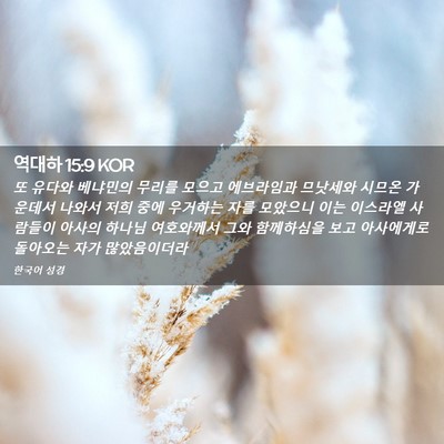 Picture 02 - 역대하 15:9 KOR - 또 유다와 베냐민의 무리를 모으고 - Bible Verse Picture