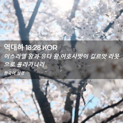 Picture 02 - 역대하 18:28 KOR - 이스라엘 왕과 유다 왕 여호사밧이 - Bible Verse Picture