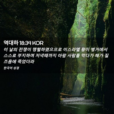 Picture 02 - 역대하 18:34 KOR - 이 날의 전쟁이 맹렬하였으므로 - Bible Verse Picture