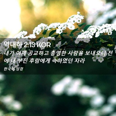 Picture 02 - 역대하 2:13 KOR - 내가 이제 공교하고 총명한 사람을 - Bible Verse Picture