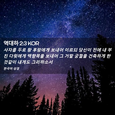 Picture 02 - 역대하 2:3 KOR - 사자를 두로 왕 후람에게 보내어 - Bible Verse Picture