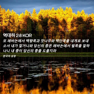 Picture 02 - 역대하 2:8 KOR - 또 레바논에서 백향목과 잣나무와 - Bible Verse Picture