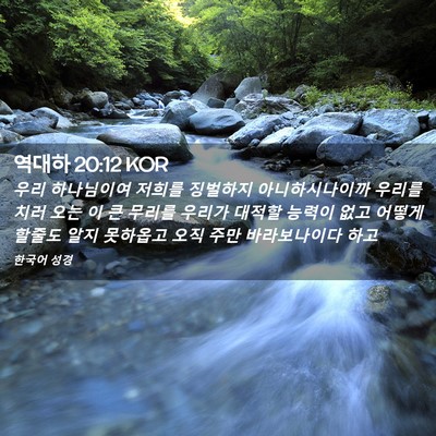 Picture 02 - 역대하 20:12 KOR - 우리 하나님이여 저희를 징벌하지 - Bible Verse Picture