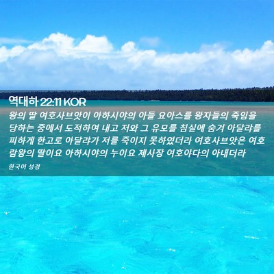 Picture 02 - 역대하 22:11 KOR - 왕의 딸 여호사브앗이 아하시야의 - Bible Verse Picture