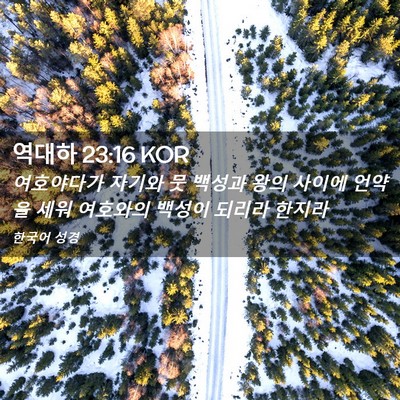 Picture 02 - 역대하 23:16 KOR - 여호야다가 자기와 뭇 백성과 왕의 - Bible Verse Picture