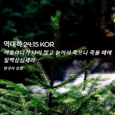 Picture 02 - 역대하 24:15 KOR - 여호야다가 나이 많고 늙어서 죽으니 - Bible Verse Picture