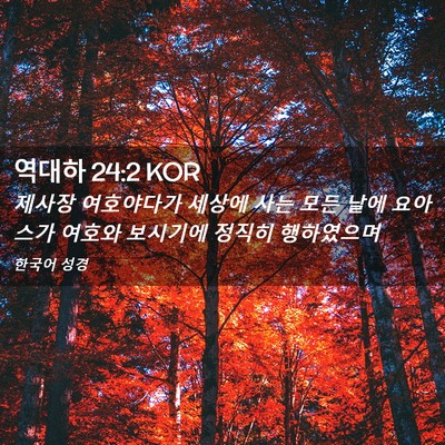 Picture 02 - 역대하 24:2 KOR - 제사장 여호야다가 세상에 사는 모든 - Bible Verse Picture