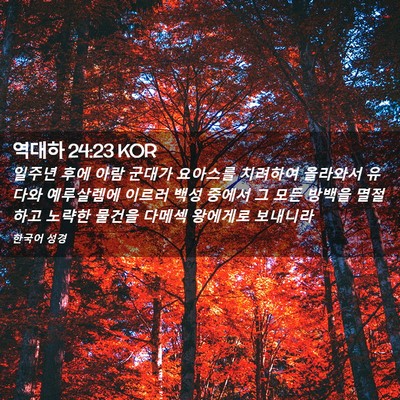 Picture 02 - 역대하 24:23 KOR - 일주년 후에 아람 군대가 요아스를 - Bible Verse Picture