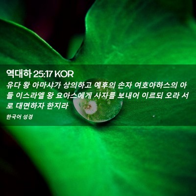 Picture 02 - 역대하 25:17 KOR - 유다 왕 아마샤가 상의하고 예후의 - Bible Verse Picture